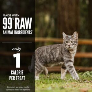 Orijen Original Freeze Dried Cat Treats 35g