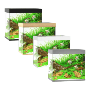 Juwel Lido Series aquariums showcasing four different sizes=