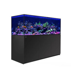 Red Sea Reefer G2+ S850 aquarium with vibrant coral reef and fish illuminated by blue LED lighting.