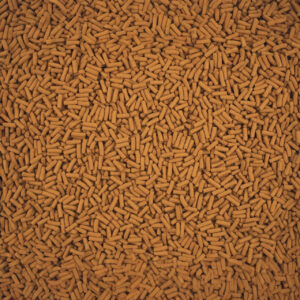 Close-up of Tetra Cichlid Sticks, a high-quality staple food for cichlids and large ornamental fish.