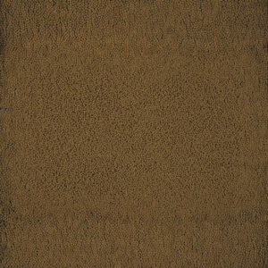 Textured brown surface resembling small granules, suitable for backgrounds or patterns.
