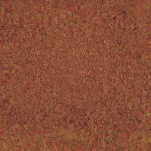 TetraPRO Colour Crisps, a premium fish food featuring vibrant color concentrate for enhanced fish coloration.