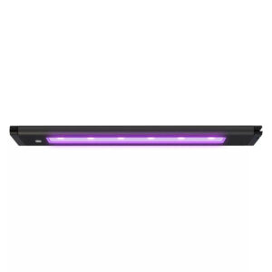 AI Blade Smart LED Strip Coral Glow with purple LEDs for aquarium lighting, enhancing visuals and growth.