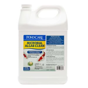API Microbial Pond Algae Clean bottle for effective algae control in Koi and goldfish ponds with live plants.
