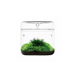 Bioloark Mini Drip Jar Terrarium showcasing vibrant green moss in a stylish clear glass design, perfect for decorative displays.