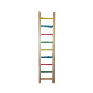 Colorful wooden ladder for budgies with sand perch steps for playtime and nail maintenance.
