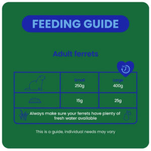 Feeding guide for adult ferrets, outlining portion sizes and water needs for small and large ferrets.