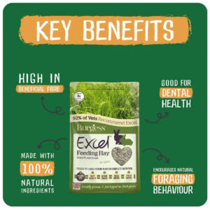 Burgess Excel Feeding Hay packaging highlighting key benefits like high fibre, dental health, and natural ingredients.