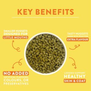 Key benefits of Burgess Excel Hamster Gerbil Mouse food, highlighting smaller nuggets, tasty flavors, and no artificial additives.