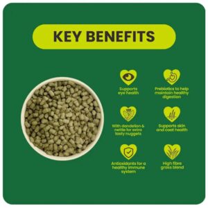Key benefits of Burgess Excel Adult Rabbit Nuggets highlighting eye health, digestion, skin care, and nutritious ingredients.