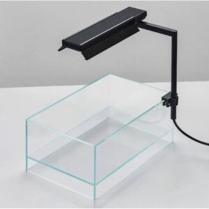 Chihiros CII RGB light mounted above a clear aquarium tank for optimal lighting and visibility.