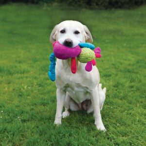 Lab dog holding a colorful Chubleez Chloe Cow toy in a green outdoor setting, showcasing its plush and multi-textured design.