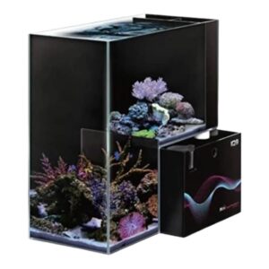 Dymax IQ9 Drop Off Dual Marine and Freshwater Aquarium with vivid corals and modern design, perfect for mini aquatic setups.