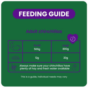 Feeding guide for adult chinchillas showing food portions for small and large sizes, with care tips for hay and water.