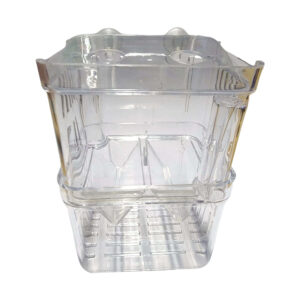 Transparent fish isolation and breeding boxes for safe aquatic pet care and breeding setup.