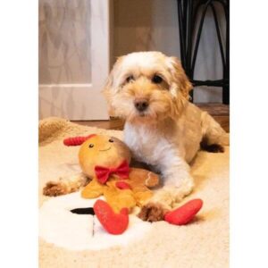 Cute dog playing with George Gingerbread Man toy on a cozy blanket, showcasing holiday fun and excitement.
