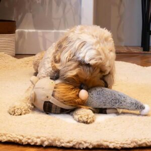 Dog enjoying the plush Gerard Gonk toy, showcasing its charming plaid shirt and hidden squeaky tennis ball.