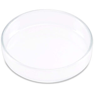 Ista Shrimp Feeding Dish, elegant clear glass tray for targeted feeding of bottom-dwelling aquatic animals. Easy to clean.