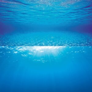 Juwel Poster 2 Background with pale blue underwater scene, ideal for aquarium decoration.