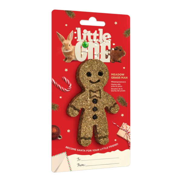 Little One Meadow Grass Man Treat for small pets, perfect edible Christmas toy for guinea pigs and rabbits.