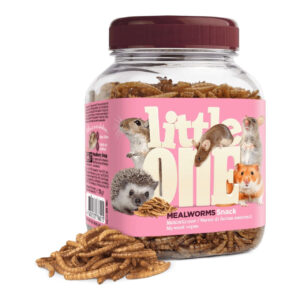 Little One Mealworms Snack 70g in jar, nutritious treat for omnivorous rodents with dried mealworms.