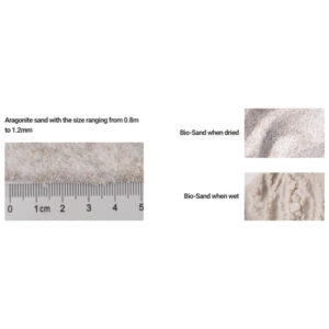 Aragonite sand 0.8 to 1.2mm size comparison with dried and wet Bio-Sand samples for aquarium use.