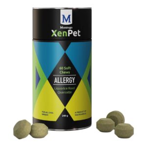 Montego XenPet Allergy Soft Chews 240g canister with soft chews, containing liquorice root and quercetin for allergic relief.
