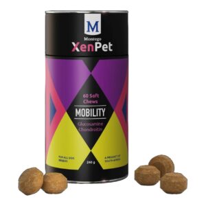 Montego XenPet Mobility Soft Chews 240g canister with glucosamine and chondroitin, promoting joint health for dogs.