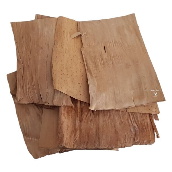 Nature Boys Banana Leaf Chips bundle for aquatic ecosystems, promoting shrimp health and natural habitats.
