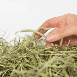 Hand reaching into fresh, green timothy hay, highlighting its natural texture and quality for pets.