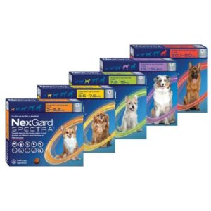 NexGard Spectra chewable treatment packs for dogs in various sizes=