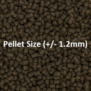 Close-up of Ocean Nutrition Formula Two Pellets, size +/- 1.2mm, designed for herbivorous and omnivorous fish feeding.