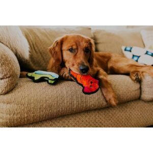 Golden retriever playing with Outward Hound Invincible Mini Dog toys on a cozy couch.