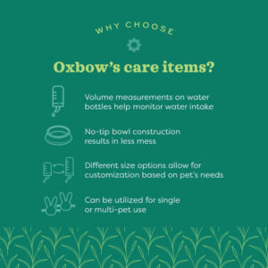infographic highlighting benefits of Oxbow care items for pets, including water bottles, no-tip bowls, and size options.