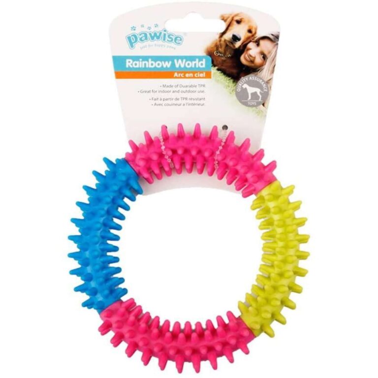 View of Rainbow World Coronule: Durable Chew Toy for Dogs