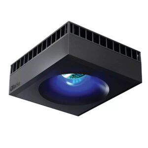 Red Sea ReefLED 90 Marine Light showcasing optimal coral growth and coloration with a blue shimmer effect.