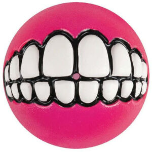 Rogz Grinz Dog Toy in pink with a cartoonish white teeth design, perfect for playful fetch sessions with dogs.
