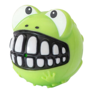Rogz Grinz Fetch Frog Toy for dogs, green frog-shaped squeaky fetch toy with a big smile, medium size.