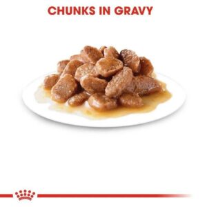 Royal Canin Ageing +12 Cat Wet Food, featuring chunks in gravy on a white plate.