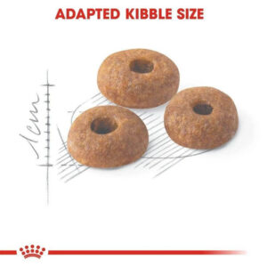 Royal Canin Fit 32 cat food kibble, adapted size for adult cats, promoting healthy eating and easy digestion.