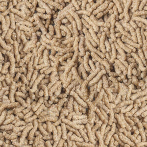 Close-up of Sera Cichlid Sticks, nutritious floating food with high proteins for cichlids, promoting health and vitality.