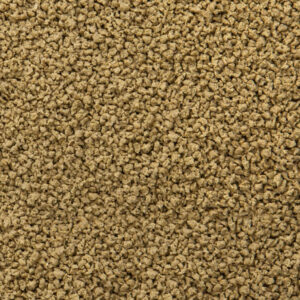Close-up of Sera Immune Probiotic Granules for ornamental fish, featuring a textured blend of granules.