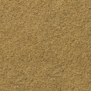 Sera Immune Probiotic Granules XS, fine granules for ornamental fish food, enhancing growth and coloration.
