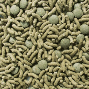 Close-up of Sera Raffy Vital Nature sticks and herb tablets for herbivorous reptiles, rich in natural fibers.