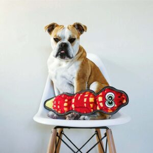 Dog sitting on a chair beside the Tough Seamz Snake 3 Squeaker dog toy, showcasing its bright colors and design.