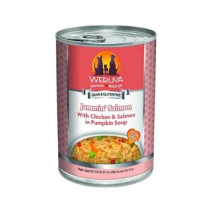 Weruva Jammin Salmon Wet Dog Food can featuring chicken and salmon in pumpkin soup, grain and gluten-free formula.