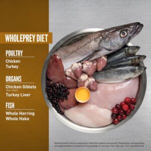 Orijen Cat and Kitten Food