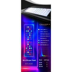 Zetlight Qmaven II LED panel infographic showcasing 56 LEDs with color specifications and model options for marine lighting.